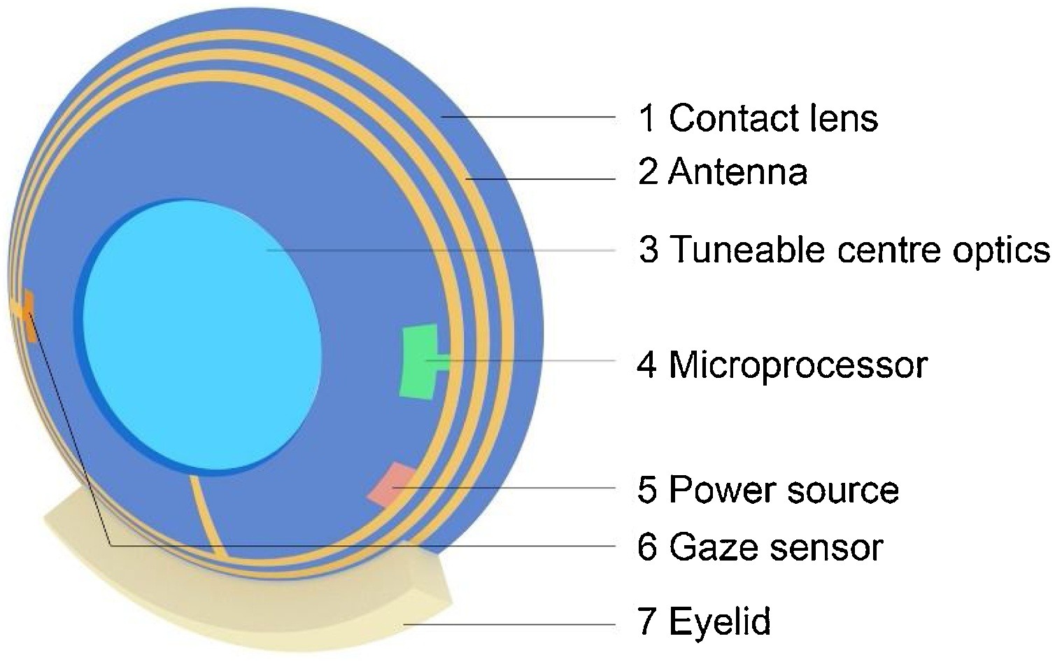 contactlenses